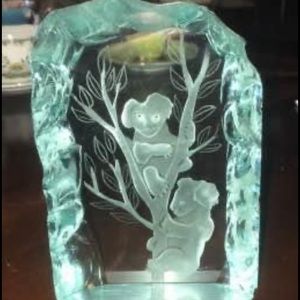 Koala Bear Glass decoration